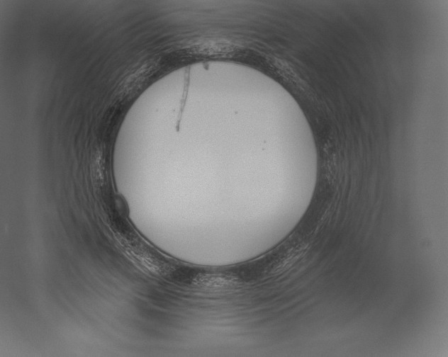 X0000060270597200511241456