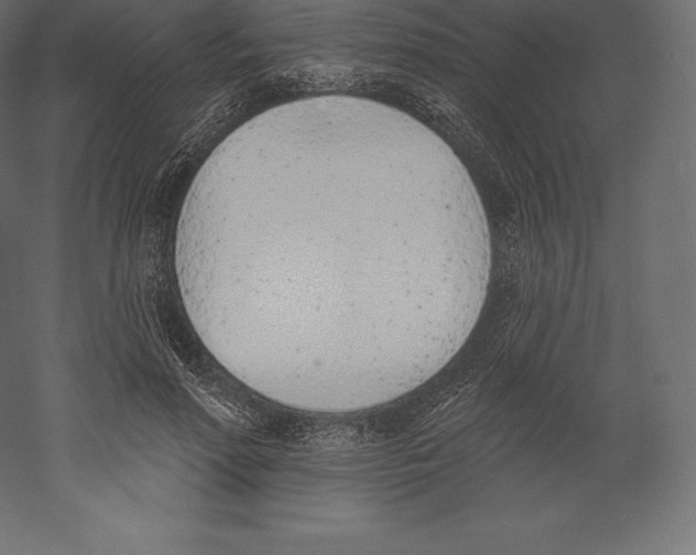 X0000060270598200511241456