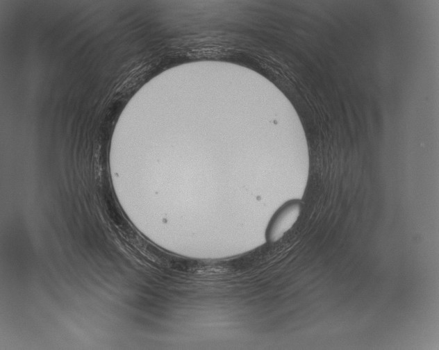 X0000060270599200511241456