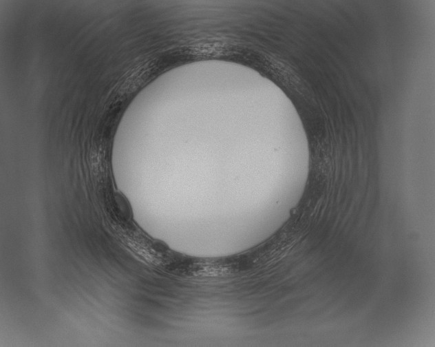 X0000060270601200511241456