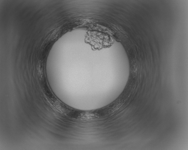 X0000060270607200511241456