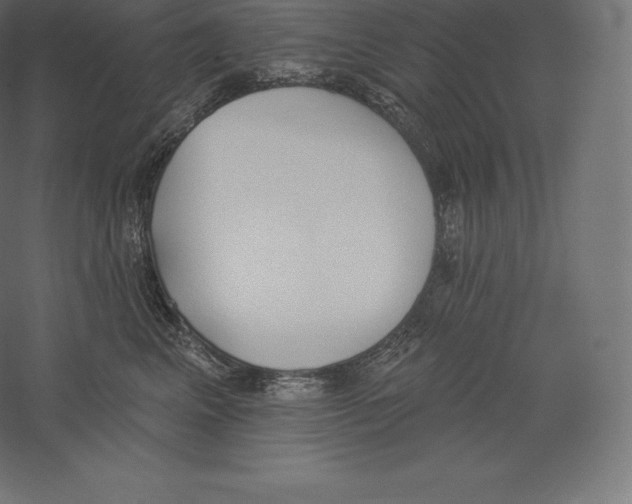 X0000060270617200511241456