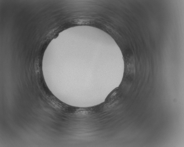 X0000060270620200511241456