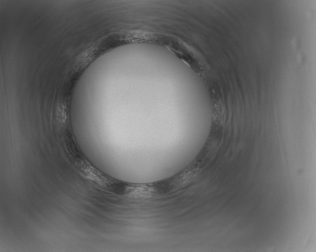 X0000060270621200511241456