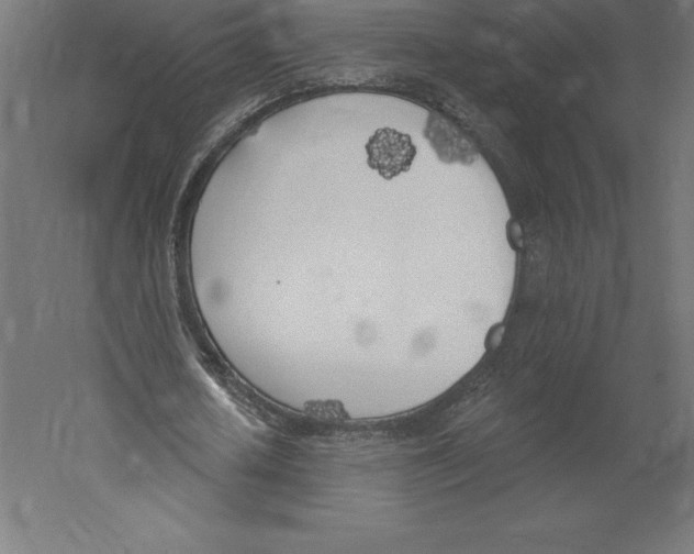 X0000060270626200511241455