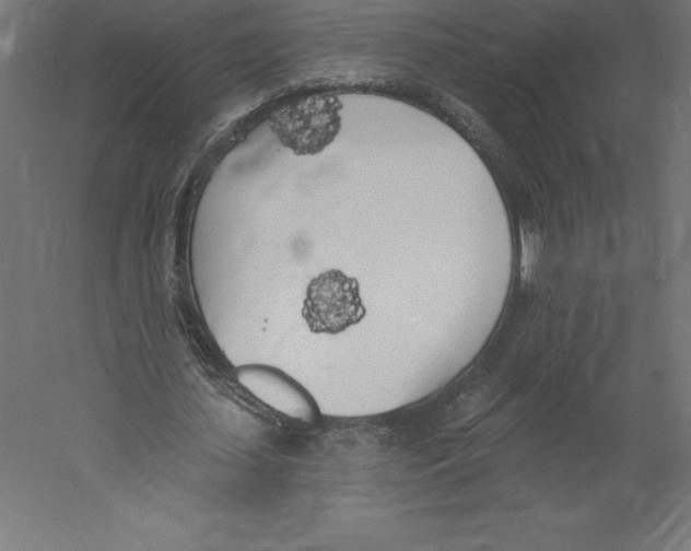 X0000060270627200511241455