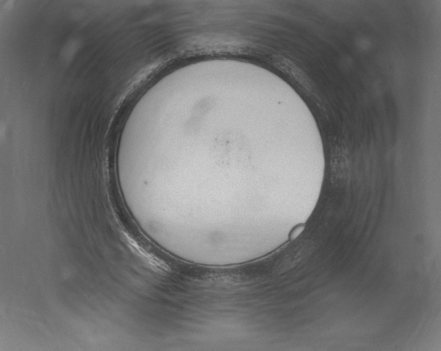 X0000060270629200511241455