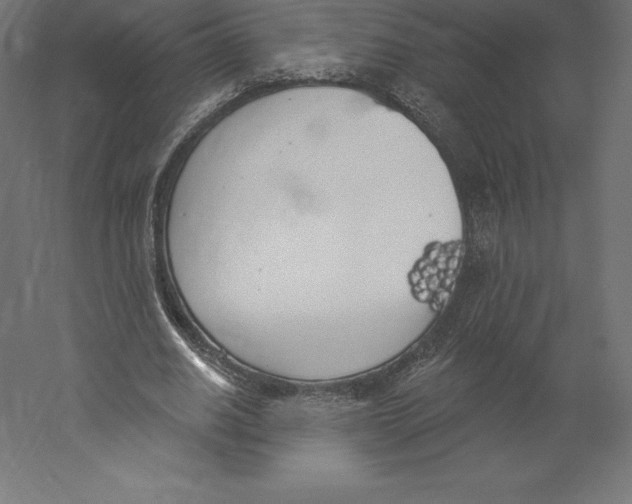 X0000060270630200511241455