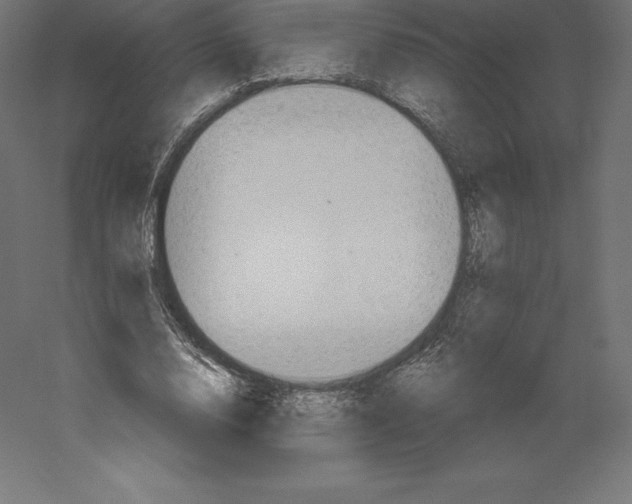 X0000060270632200511241455