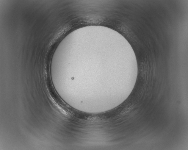 X0000060270634200511241455