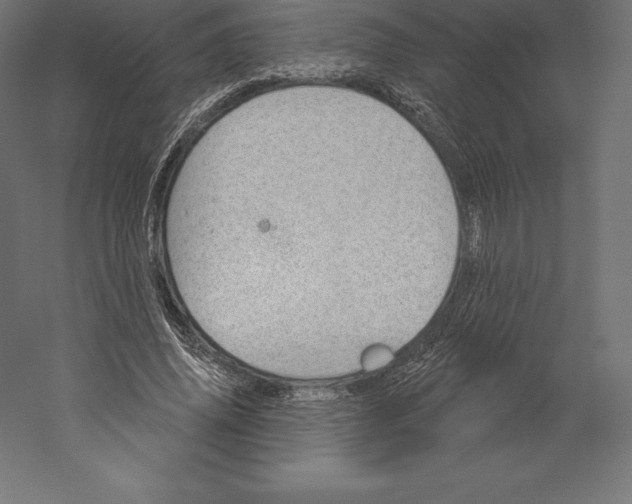 X0000060270636200511241455