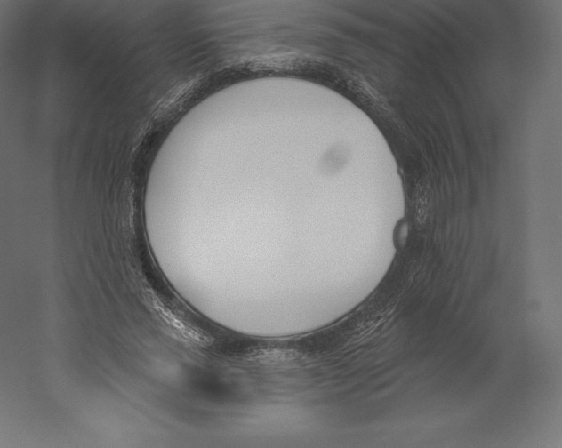 X0000060270637200511241455