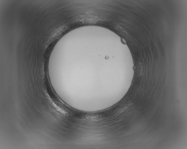 X0000060270638200511241455