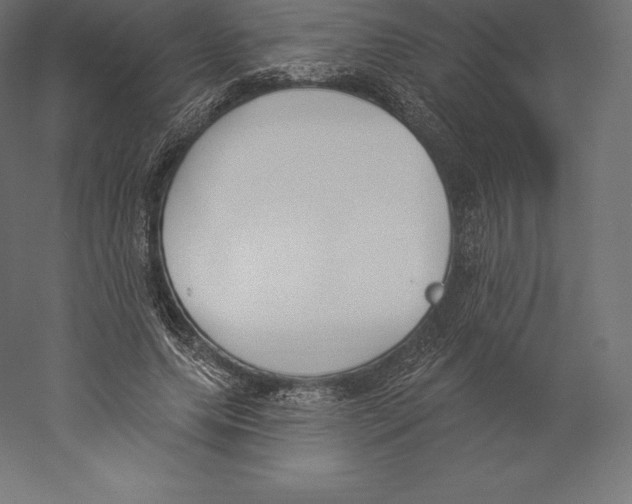 X0000060270639200511241455