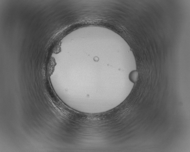 X0000060270640200511241455