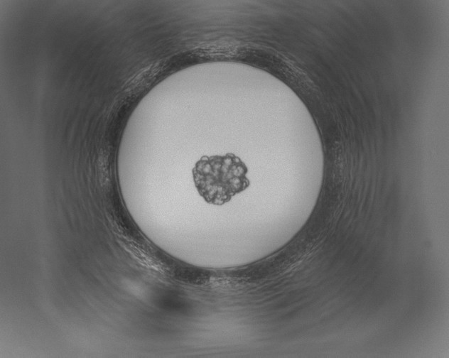 X0000060270641200511241455