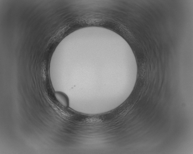 X0000060270644200511241455