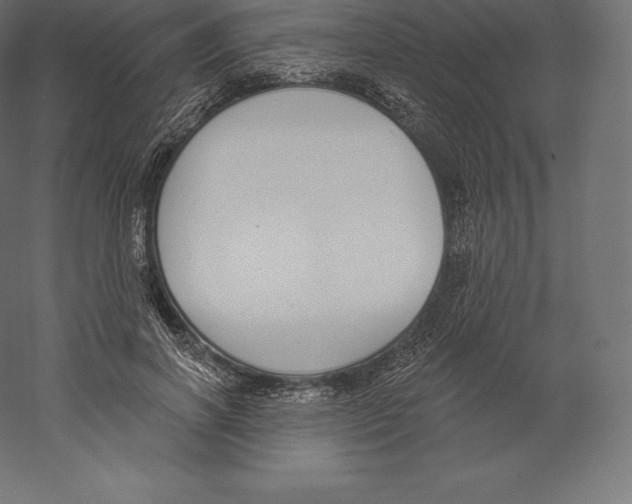 X0000060270646200511241455