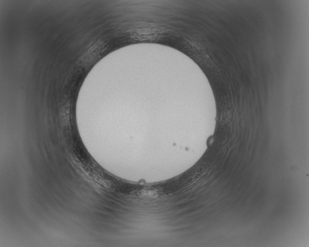 X0000060270647200511241455