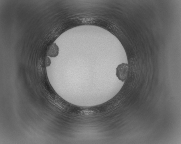 X0000060270650200511241455