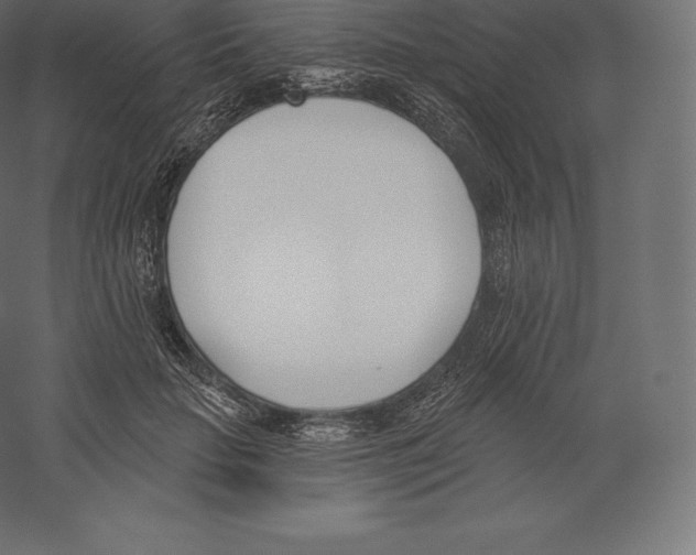 X0000060270653200511241455