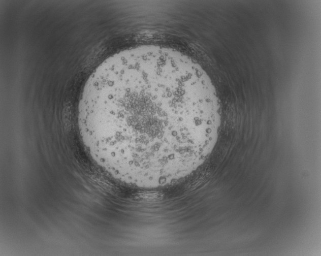 X0000060270659200511241456