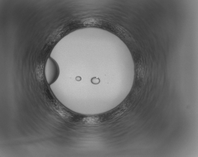 X0000060270660200511241456