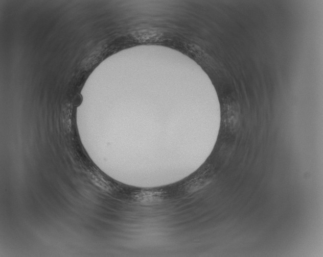 X0000060270664200511241456