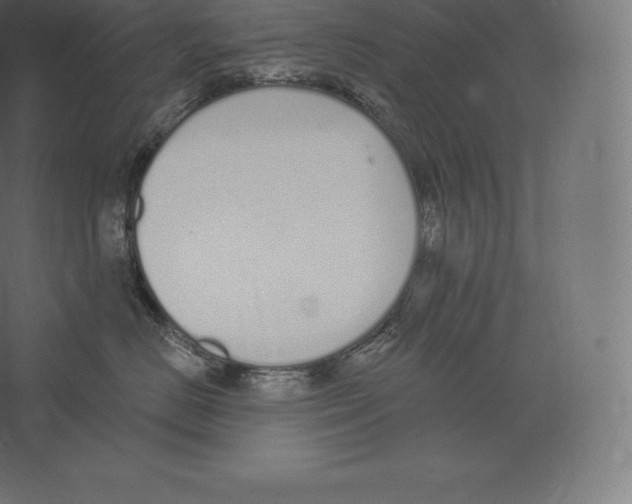 X0000060270670200511241456