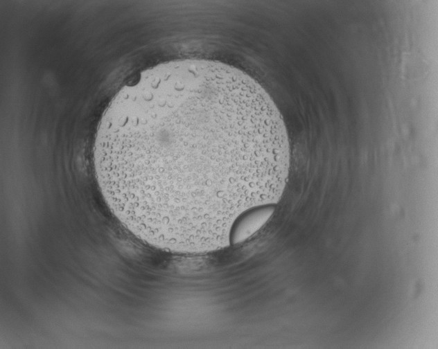 X0000060270671200511241456