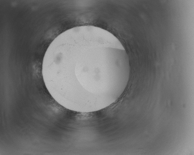 X0000060270672200511241456