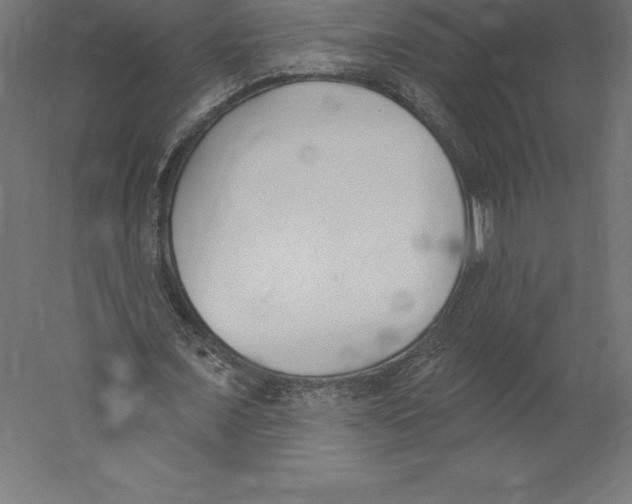 X0000060270675200511241455