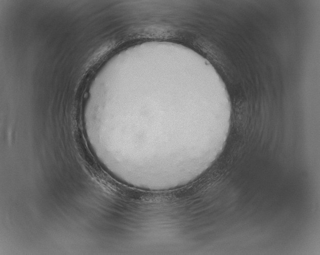 X0000060270679200511241455