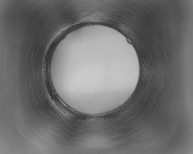 X0000060270680200511241455