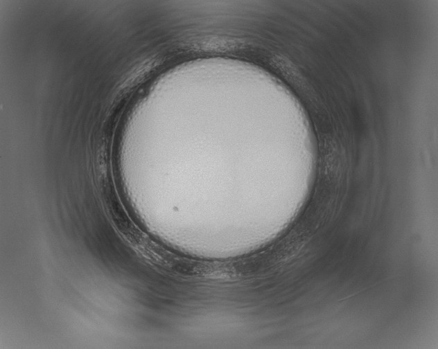 X0000060270683200511241455