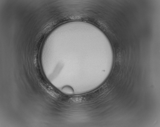 X0000060270687200511241455