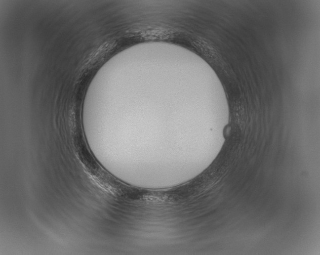 X0000060270690200511241455