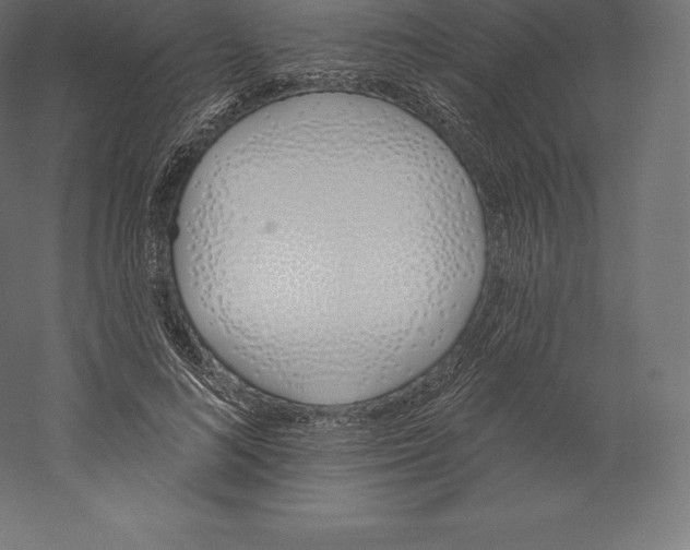 X0000060270692200511241455