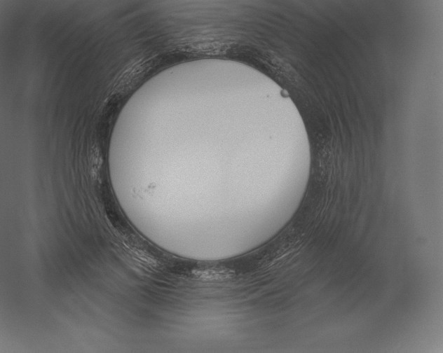 X0000060270693200511241455