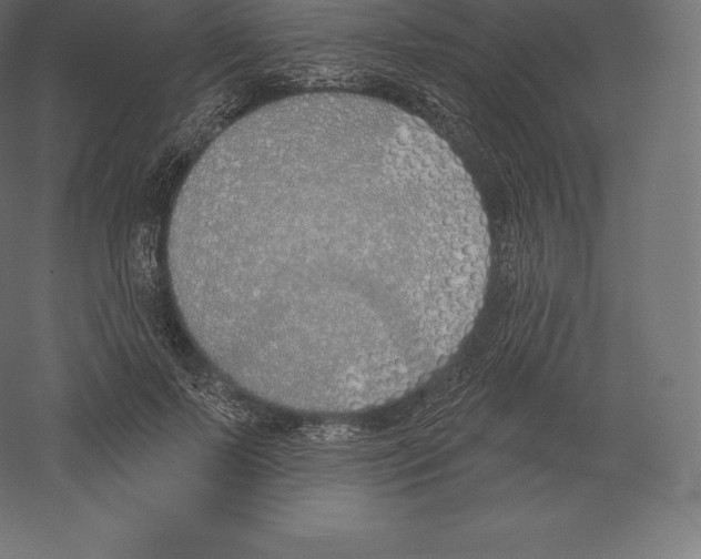 X0000060270695200511241455