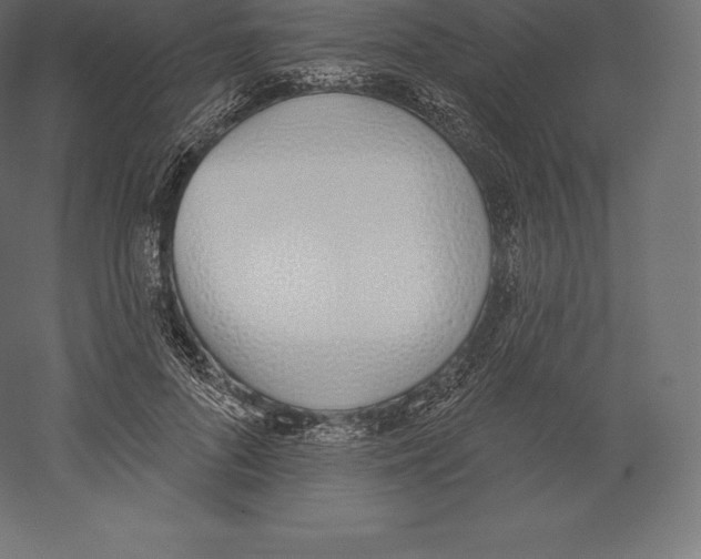 X0000060270696200511241455