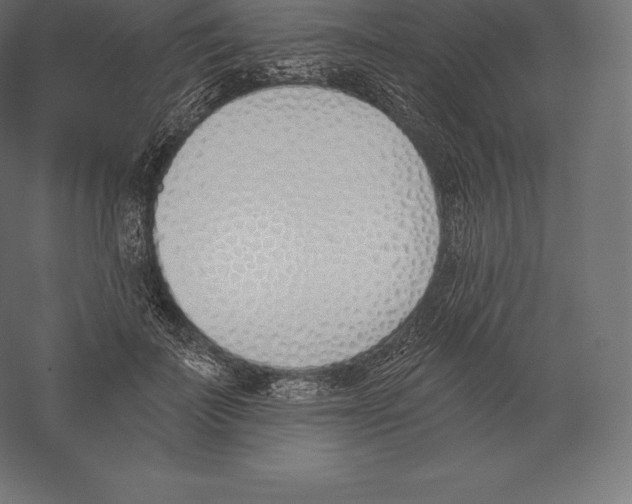 X0000060270699200511241454