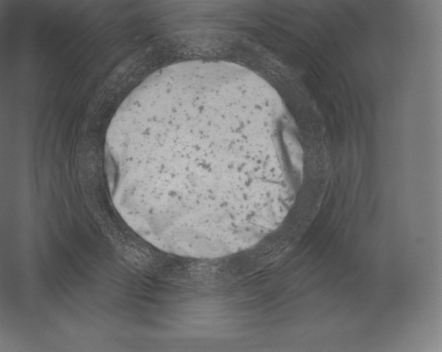 X0000060270701200511241454