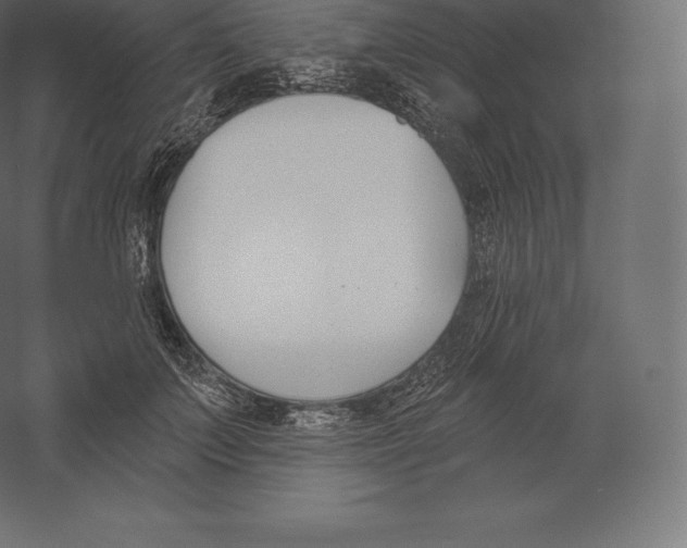 X0000060270703200511241454