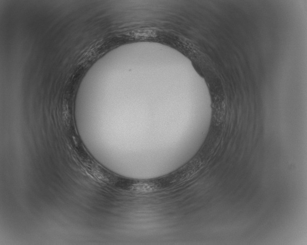 X0000060270704200511241454