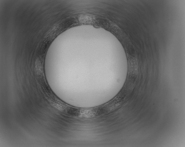 X0000060270705200511241454