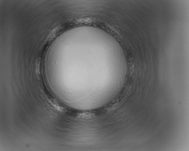 X0000060270708200511241454