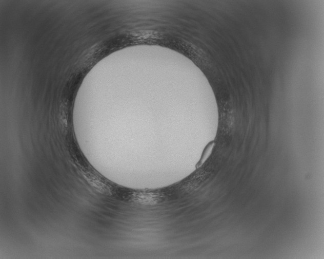 X0000060270710200511241454