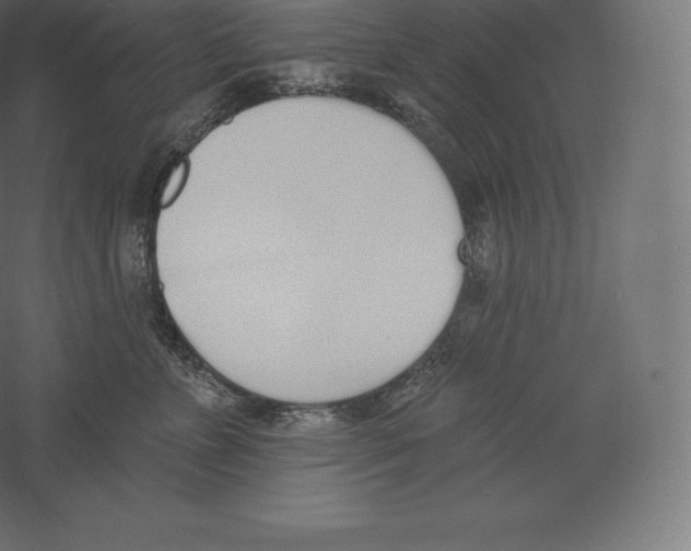 X0000060270715200511241454