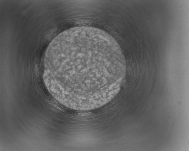 X0000060270716200511241454